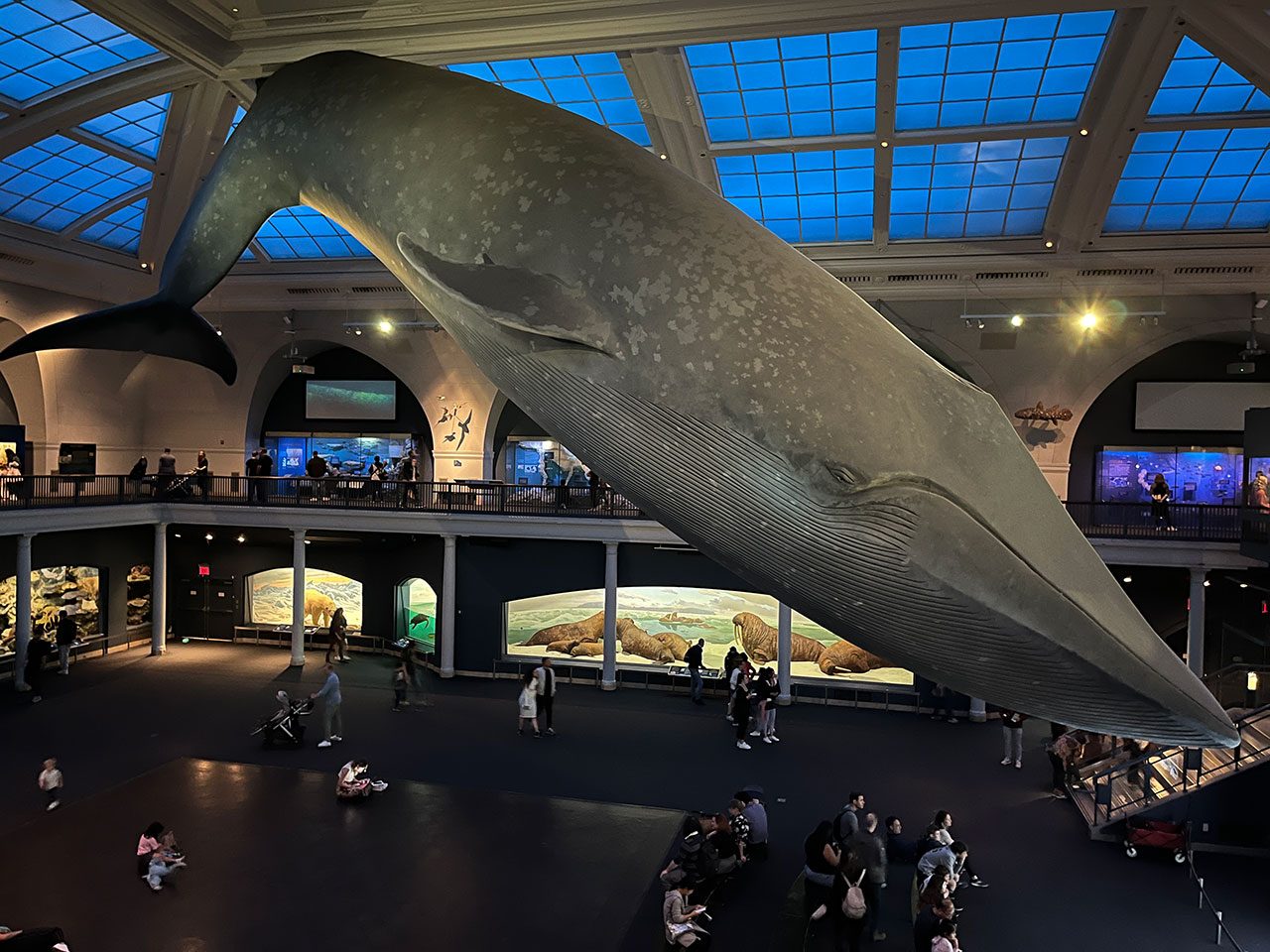 À la découverte des musées phares de New York